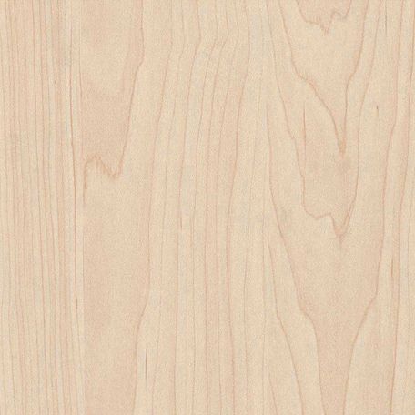 4X8 Maple Plywood