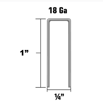 18 GAUCHE STAPLES