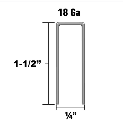 18 GAUCHE STAPLES